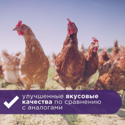 Суспензия сельско-хозяйственных птиц для лечения и профилактики кокцидиозов Аписенна СТОП-КОКЦИД 2,5% 100мл, Толтразурил 25мг