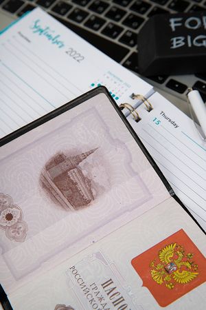 Обложка для паспорта "Кусь"