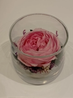 натуральный пион в стекле, вакуум*