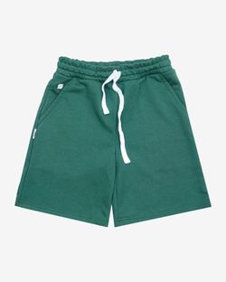 Шорты Wide Shorts LOGO Ponderosa Pine