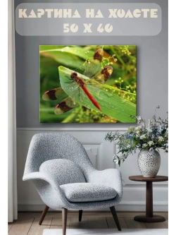 Картина на стену 40 X 50 Стрекоза