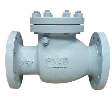 Клапан обратный поворотный КОП 19с53нж Ру40 Ду150