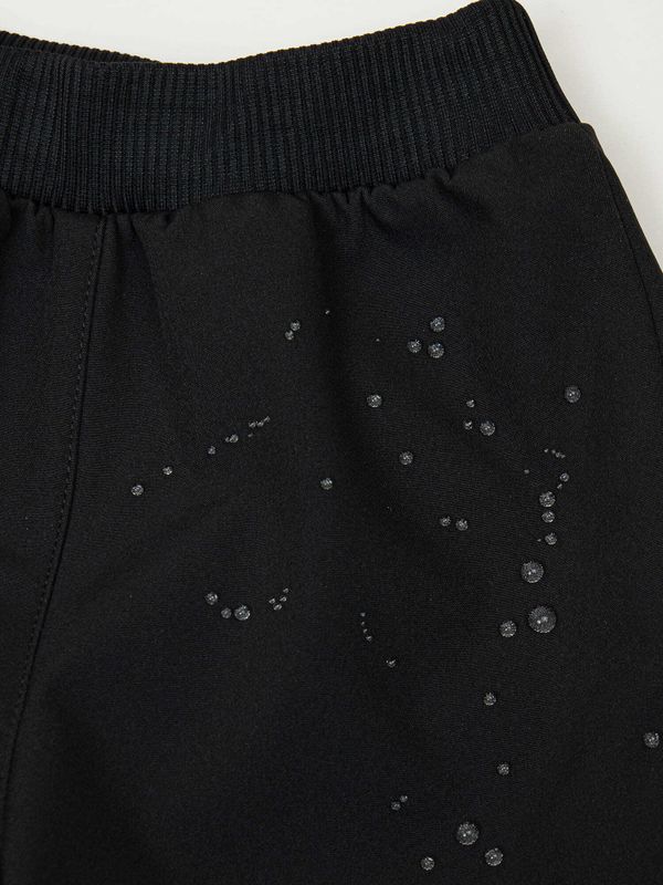 Брюки Softshell демисезонные 