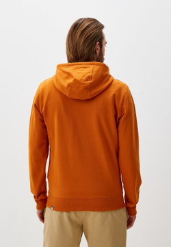 Толстовка мужская THE NORTH FACE M EASY HOODIE