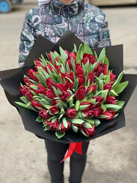 Букет из 101 бордовых тюльпанов
