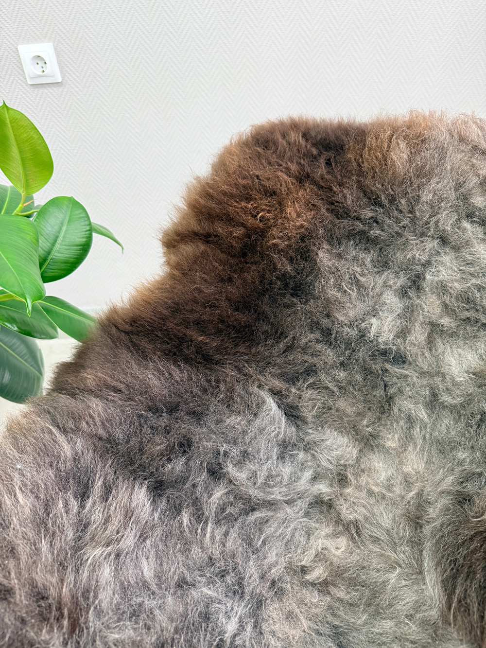 Шкура коврик меховой прикроватный овчина, 120х65 см.