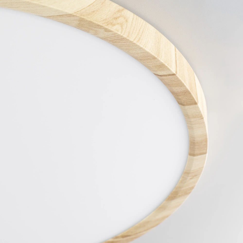 Citilux БейсикCL738322V LED Светильник накладной Клён