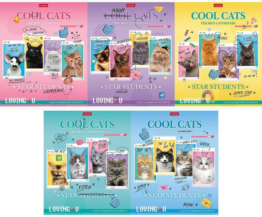 Тетрадь А5ф 48л клетка на скобе, ассорти "Классные коты" (Хатбер)