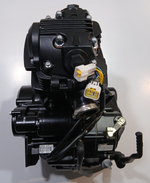 Двигатель 250см3 165FMM (без балансирующего вала) Мотоцикл PROGASI Palma 250 SE