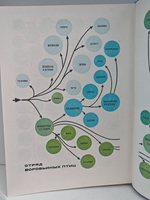 Мир животных. Рассказы о птицах