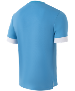 Футболка игровая DIVISION PerFormDRY Union Jersey, голубой/белый/белый