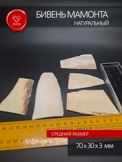 Бивень мамонта тонкая пластина