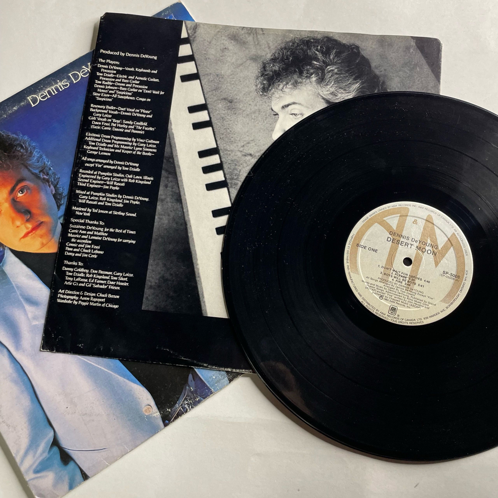 Винтажная виниловая пластинка LP Dennis DeYoung Desert Moon (Канада 1984)