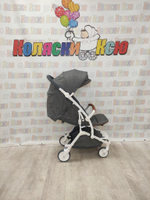 Коляска прогулочная Infinity Maxi S2700 серый