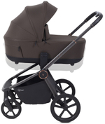 Детская коляска Rant Flex Therm Soft 3 в 1 с автокреслом Evomax Black Shine Brown