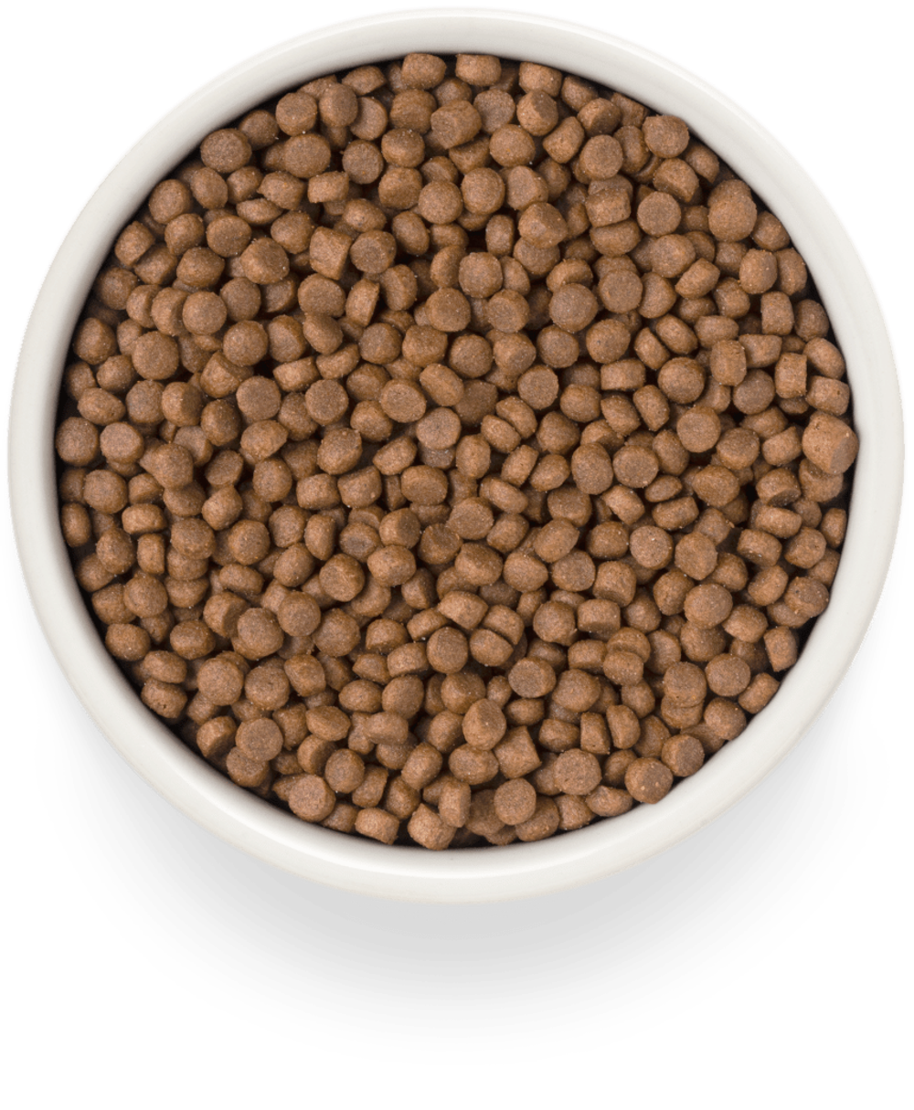 Premier cat salmon & turkey филе лосося с индейкой для кошек sterilised