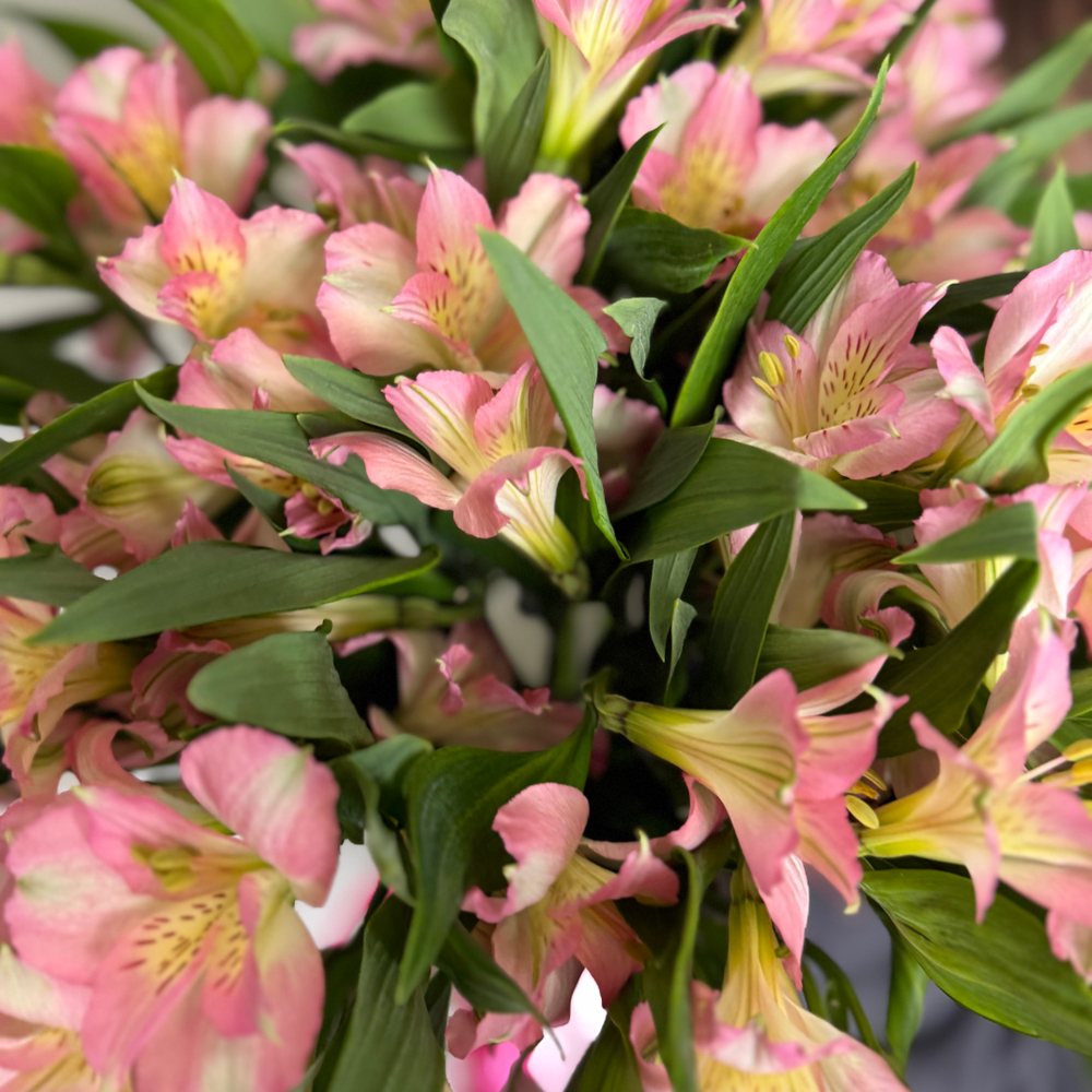 Букет с Альстромерией 15 штук