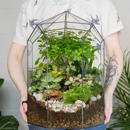 Флорариум Ботанический сад с бонсай XL