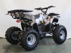 Квадроцикл GreenCamel Атакама T240 (48V 1000W R8 Дифференциал) пониженная