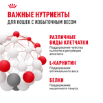 Royal Canin LIGHT WEIGHT CARE Корм консервированный для взрослых кошек для контроля набора веса в желе 85г