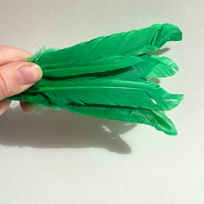 Перья утки зеленые 2 сорт 15 шт.