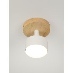 Светильник настенно-потолочный спот Rivoli   7078-701 1хGX53 15 Вт поворотный