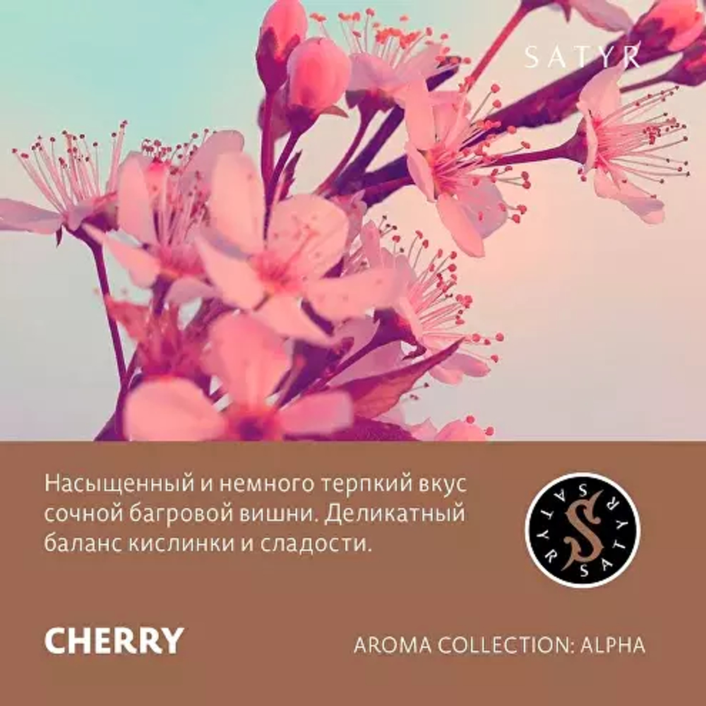 Сатир 100гр. CHERRY (Вишня) (М)