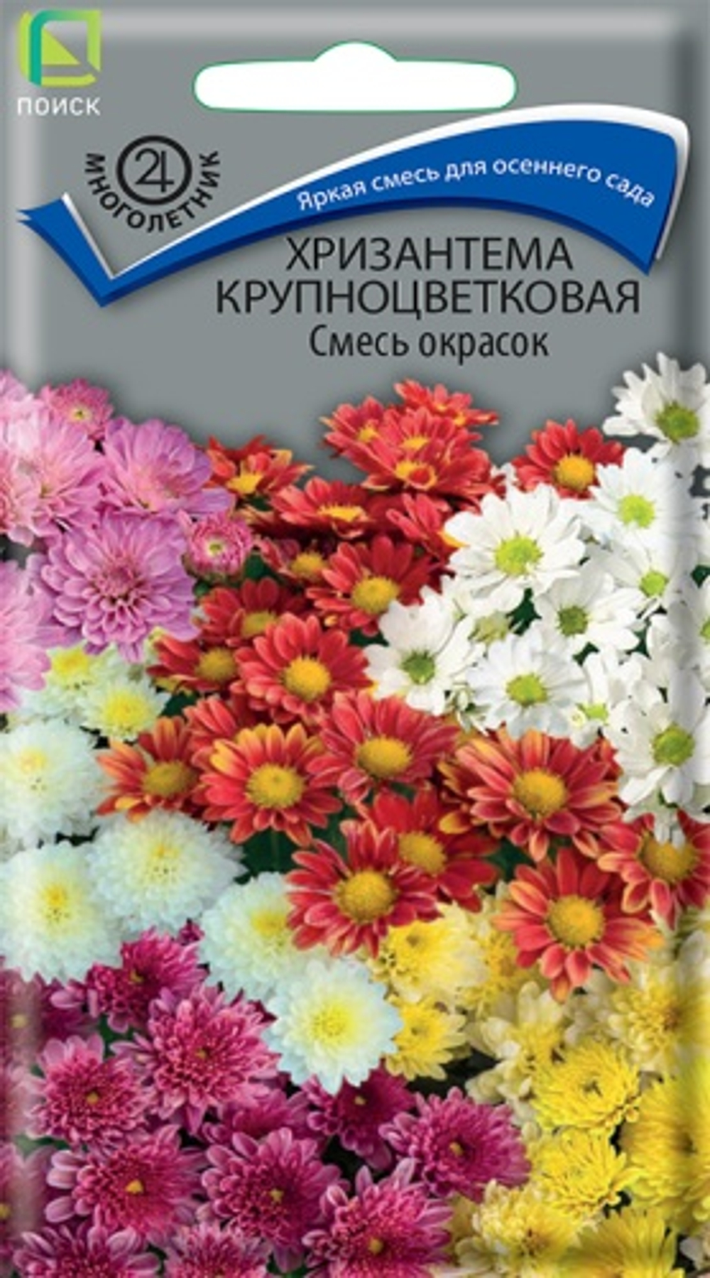 Хризантема крупноцветковая смесь окрасок