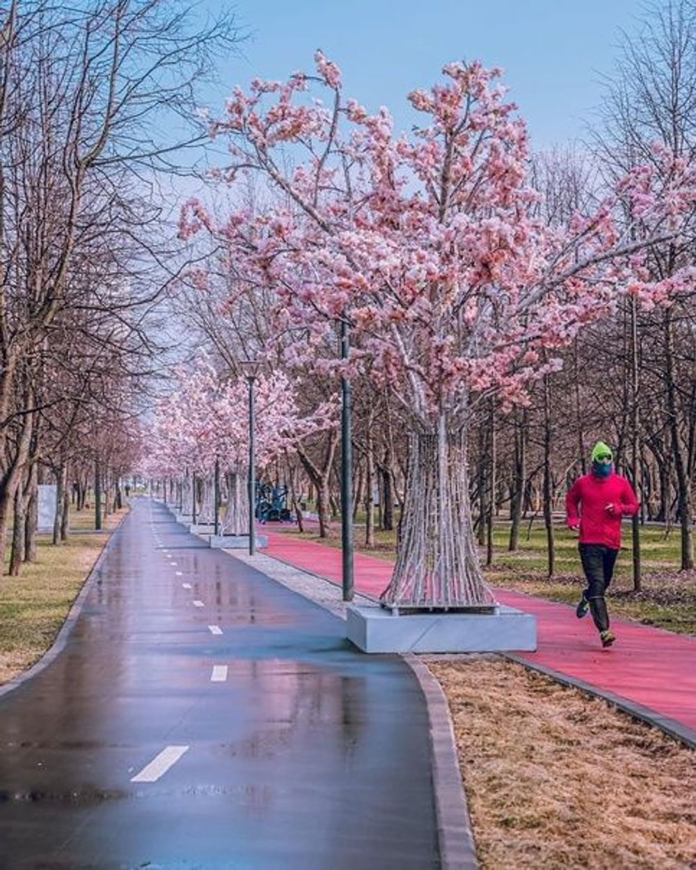 искусственное световое дерево с гирляндами "Сакура"