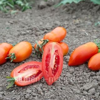 Томат Улиссе F1 50 (семян)