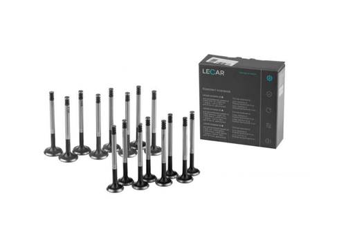 Клапан двс ВАЗ 2112 16шт