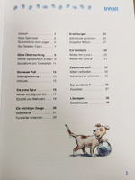 Spielerisch Deutsch lernen – Lernkrimi – Jagd nach dem Reifendieb - Buch mit MP3-Download - (Deutsch als Zweitsprache / Fremdsprache) - Lernstufe 2