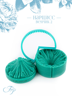 Нарцисс венчик 2