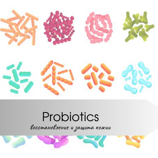 Секреты здоровой кожи: Пробиотики и пребиотики.