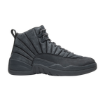 Кроссовки Jordan Air Jordan 12 Retro Psny