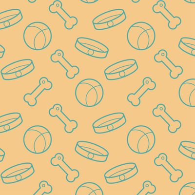 Кость, ошейник, мячик