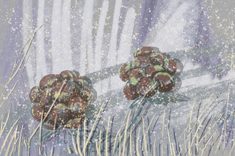 Дизайнерские обои Wall Street Brush