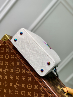 Louis Vuitton Capucines Mini