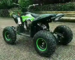 Электроквадроцикл MOTAX GEKKON 1300W