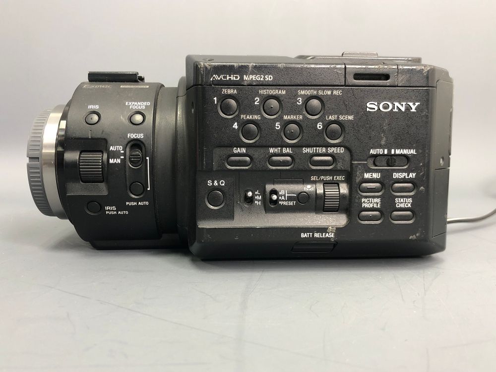 Sony NEX-FS100 (118x10)