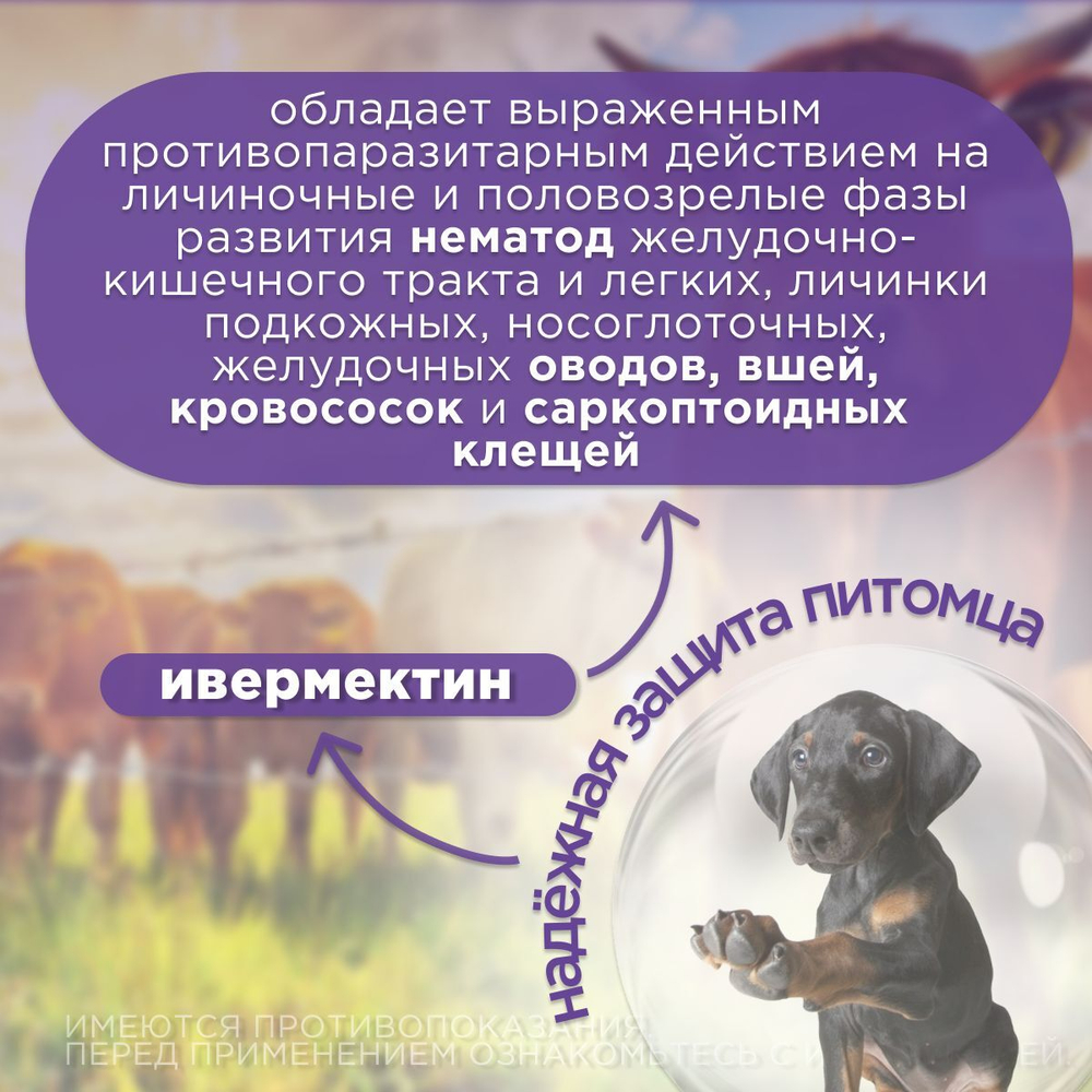 Раствор для инъекций для лечения и профилактики паразитарных болезней у жвачных животных и свиней Неомектин 1% ( Apicenna ), 100мл Ивермектин