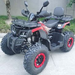 Квадроцикл RACER Gladiator 200