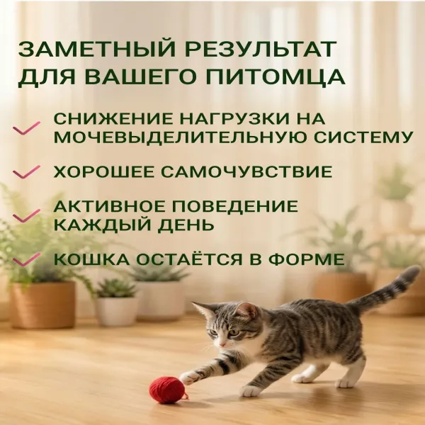 Сухой корм Fealdon для взрослых кошек всех пород c индейкой