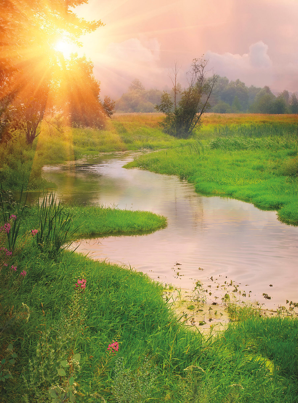 Коллекция Пейзаж