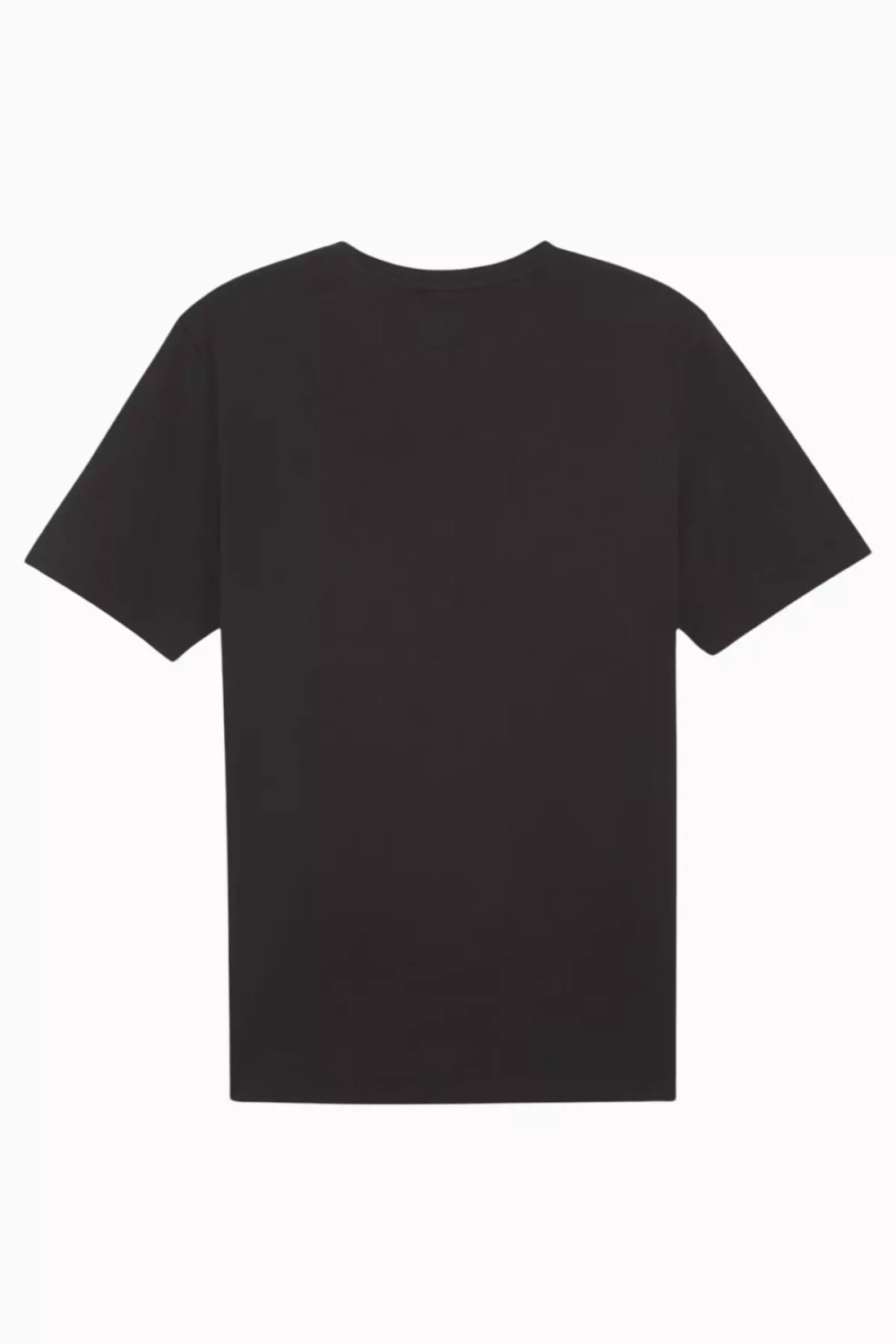 Футболка Puma teamRISE Logo