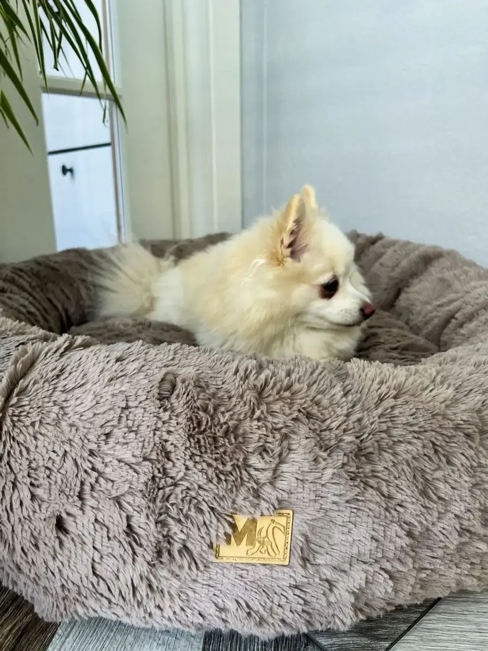 Лежанка для кошек лежак для собак домик