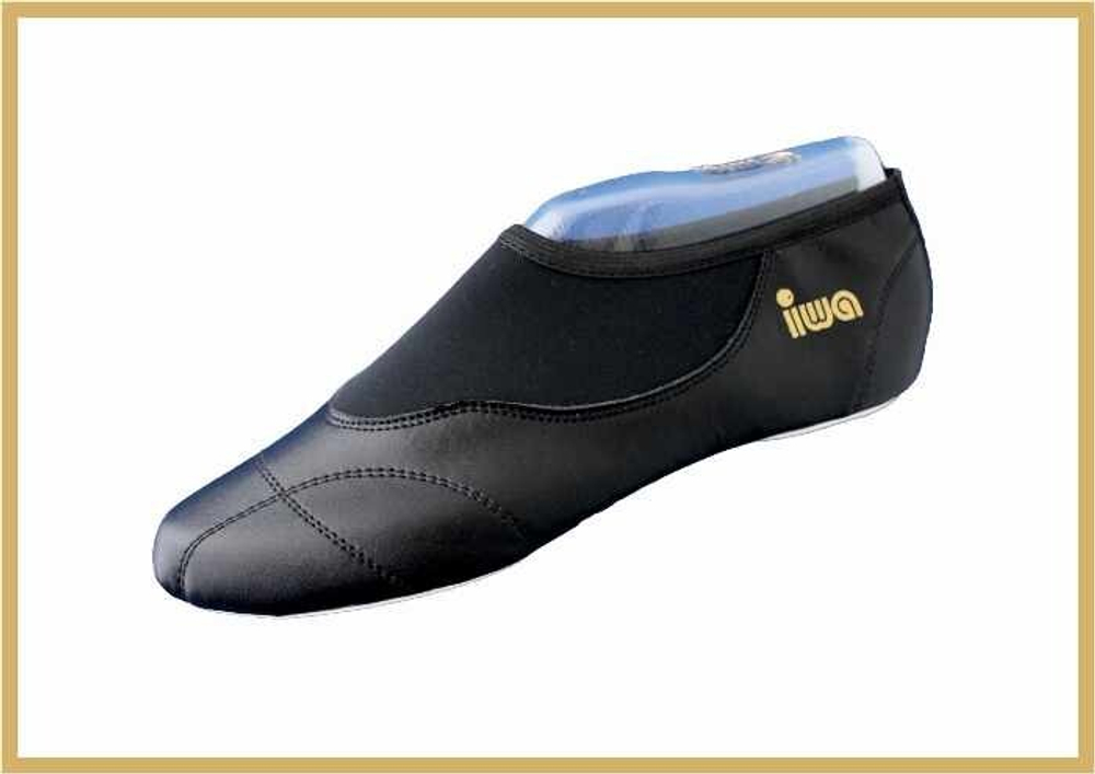 Чешки iwa 270 (черные)