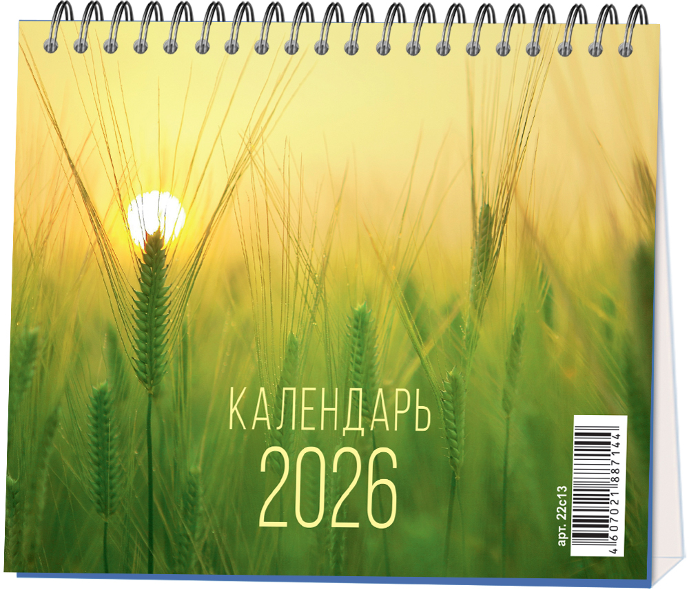 Календарь настольный "домик" на 2026 год, "Времена года"