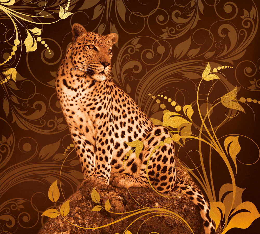 Коллекция Животные