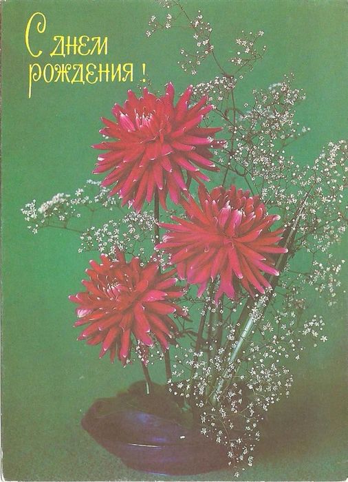 Открытка "С днем рождения!" фото Н. Самсоненко